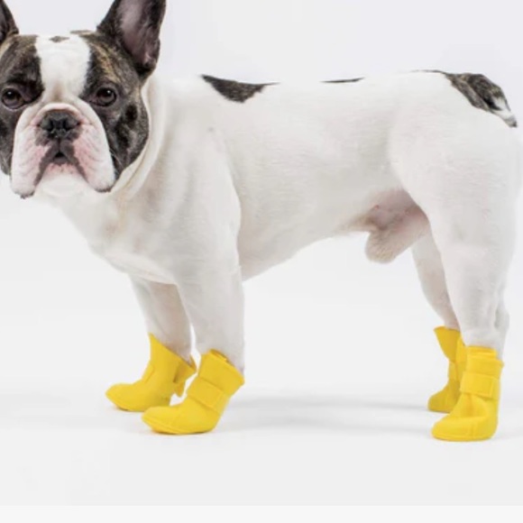 Wellies Dog Boots for Snow,Rain and Mud 3 sizes Available New in box - Picture 1 of 6